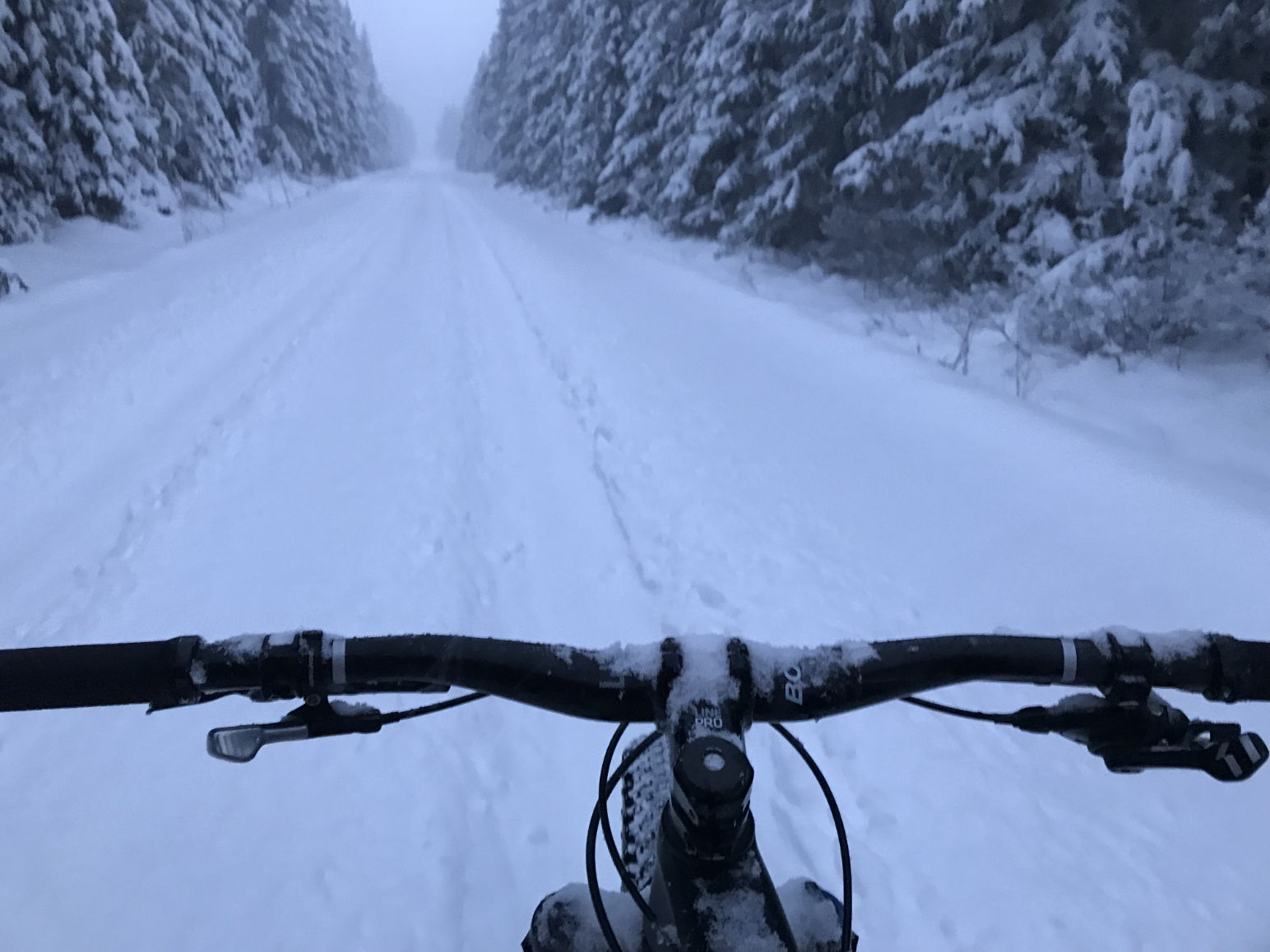 placeholder image-sq