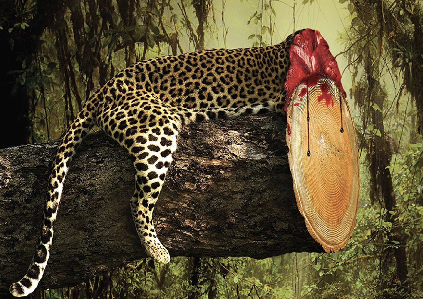 paper megafauna.jpeg