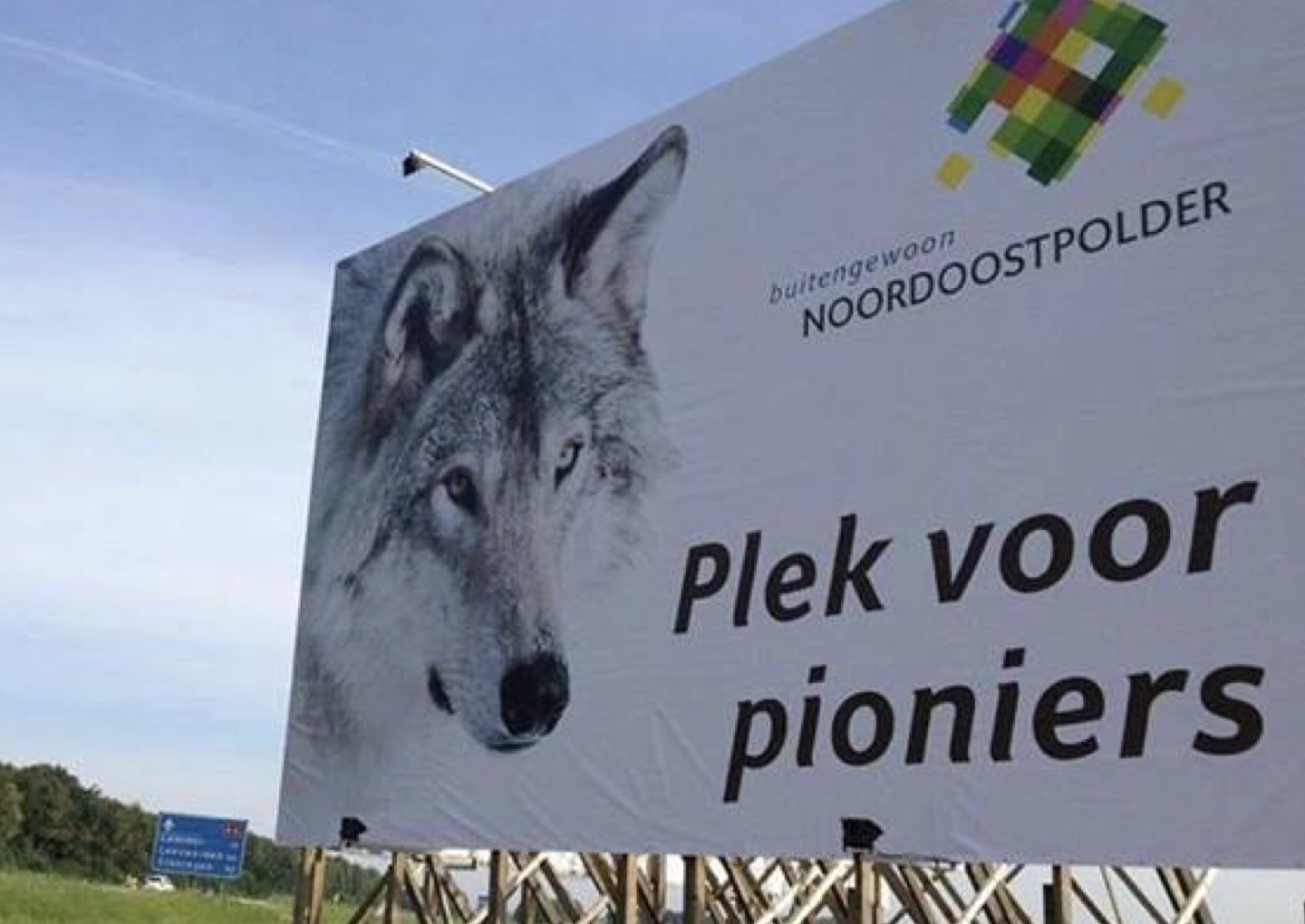 paper wolfnl-1.jpeg