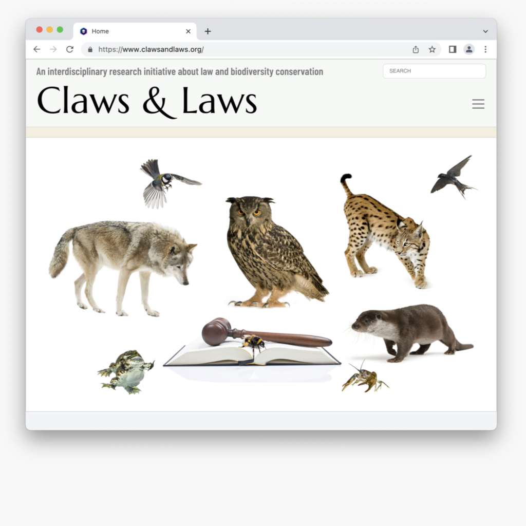 research legal.jpeg